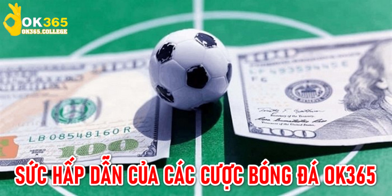 Sức hấp dẫn của loại hình cá cược này với hội viên