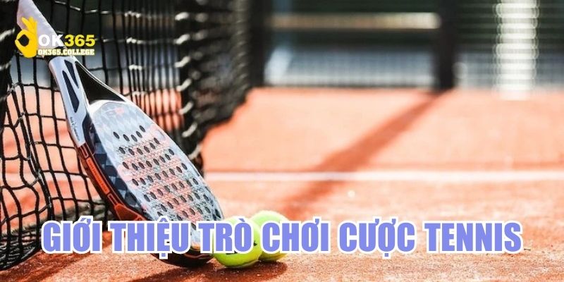 Chơi cá độ tennis lợi nhuận lớn